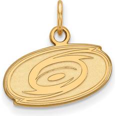 Gold Halsketten LogoArt 14k gelbgold nhl carolina wirbelstürme anhänger von