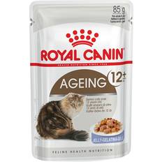 Royal Canin ageing +12 jelly