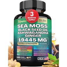 Ashwagandha Zoyava Sea Moss Black Seed Ashwagandha Ginger Extra Strength 180 pcs