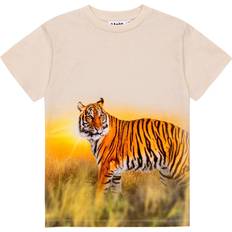 Beige T-skjorter Molo Tiger Sand T-Shirt-10 år