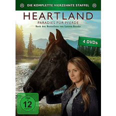 Filme Heartland Paradies für Pferde, Staffel 14 DVD