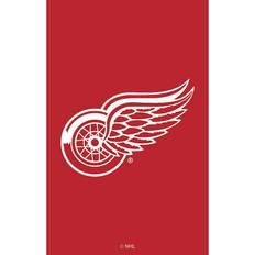 Flags & Accessories Evergreen Enterprises Detroit Red Wings 28 Double-Sided Garden Flag