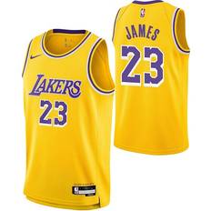 Sports Fan Apparel Nike Kids' Los Angeles Lakers LeBron James #23 Icon Jersey XLarge Gold/Purple