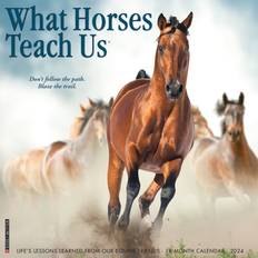 Willow Creek Press What Horses Teach Us Calendar 2024