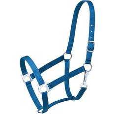 Tough-1 Halters & Lead Ropes Tough-1 Economy Halter Yearling Turquoise