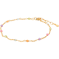 Gule Armbånd Pernille Corydon Rainbow Bracelet - Gold/Multicolour