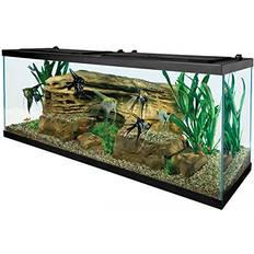 55 Gallon Aquarium Kit Fish Tank, Fish