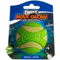 Chuckit! Max Glow Ultra Squeaker Ball Dog
