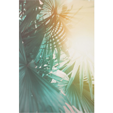 Klebefieber Tropical Plants Palm Trees At Sunset Multicolor Wanddeko 40x60cm
