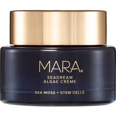 MARA Sea Moss + Stem Cells SeaDream Firming Algae Crème 1.7fl oz