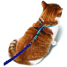 PetSafe Cats Pets PetSafe Come with Me Kitty Glitter Cat Harness