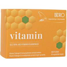Bidro Vitamin veg. 60 st