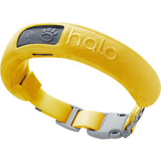 Pets Halo Wireless Dog Fence and GPS Dog Collar 3 Small