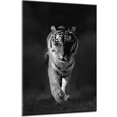 Bloomsbury Glasbild Tiger Bild 70x100cm