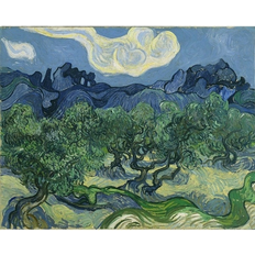 Vault W Artwork Olive Trees,1889 Vincent Van Gogh Wrapped