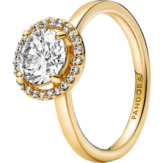Rings Pandora Sparkling Round Halo Ring - Gold/Transparent