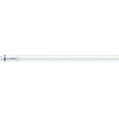 Tageslicht Leuchtstoffröhren Philips MASLEDtube Fluorescent Lamps 21.7W G13