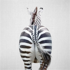 Klebefieber Glasbild Zebra von hinten Bild 30x30cm
