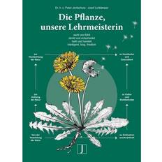 Deutsch - Philosophie & Religion Bücher Die Pflanze, unsere Lehrmeisterin (Gebunden)