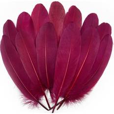 Feathers Goose Feathers Burgundy 100-pack