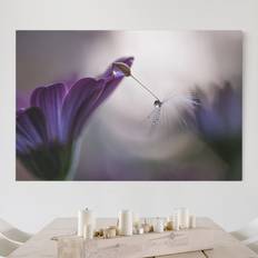 Lila Bilder Klebefieber Blumen Querformat Purple Rain Bild