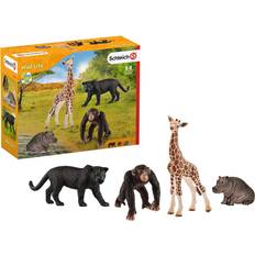Giraffen Figurinen Schleich Wild Life Starter Set 72162