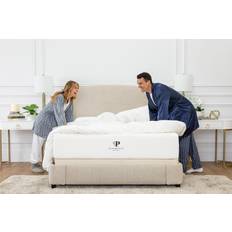 Latex Bed Mattresses PlushBeds "Queen Firm 8"" Hybrid Eco Bliss