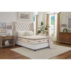 Latex Bed Mattresses PlushBeds "Queen Firm 12"" Luxury