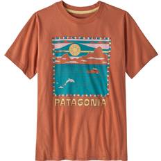 Patagonia Kid's Graphic T-shirt - Summit Swell/Sienna Clay (62146)