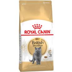 Kattemat Husdyr Royal Canin British Shorthair Adult