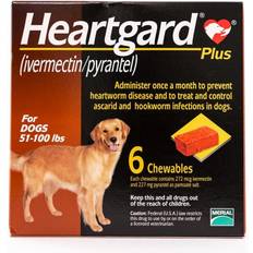 Merial Heartgard Plus Chewables For Dogs 51-100lbs 6pcs