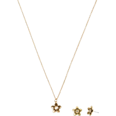 Coach Wildflower Earrings and Necklace Set - Gold/Transparent