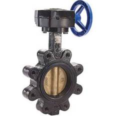 Ball Valves 5" T-365AB-G BUTTERFLY-EPDM