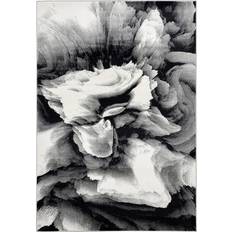 Black Carpets & Rugs Abani Rugs Floral Swirl Black, White 48x72"