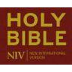 Bible NIV Popular Bible (Bible Niv) (Innbundet, 2011)