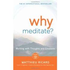 Religion & Philosophy Audiobooks Why Meditate? [With CD (Audio)] (Audiobook, CD, 2010)