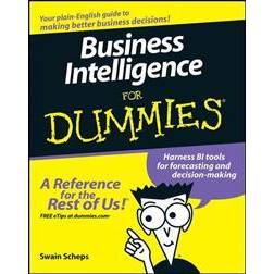 Business Intelligence for Dummies (Paperback, 2007)