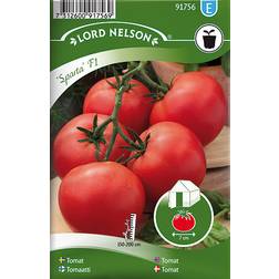 Nelson Garden Tomato Greenhouse Sparta F1 10 pack