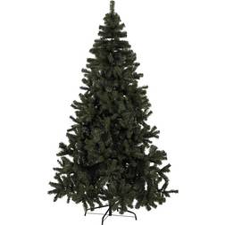 Star Trading New Quebec Green Weihnachtsbaum 180cm