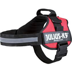 Julius-K9 Belt Harness Red Mini