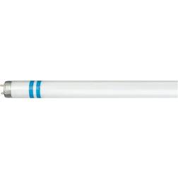 Philips TL-D Secura Fluorescent Lamp 36W G13 840