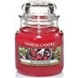 Yankee Candle Raspberry Small Duftlys 104g