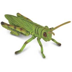 Collecta Grasshopper 88352