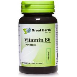 Great Earth Vitamin B6 Pyridoxine 60 st