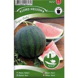 Nelson Garden Watermelon Seed 36 pack