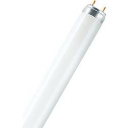 Osram L Fluorescent Lamp 18W G13 840