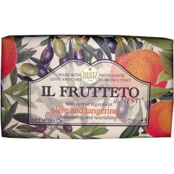 Nesti Dante IL Frutteto Olive Oil & Tangerine Soap 8.8oz