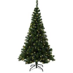 Star Trading Ottawa with LED Weihnachtsbaum 180cm
