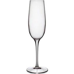 Luigi Bormioli Palace Champagneglass 23.5cl 6st