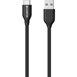 USB A-USB C 3.1 1m